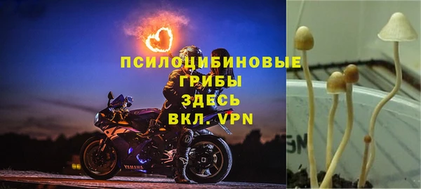 соль курить ск Богородицк