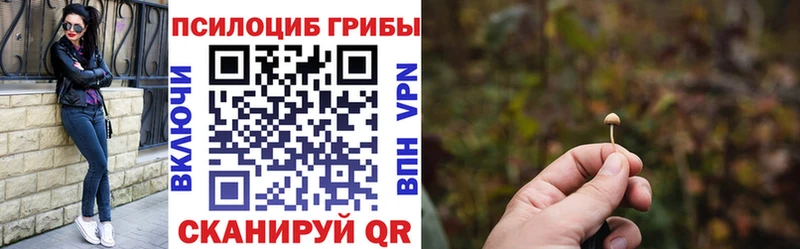 blacksprut   Дальнегорск  Галлюциногенные грибы ЛСД  цена  